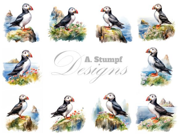 Download Atlantic Puffin Watercolor Bird Clipart - Bird clipart Collection