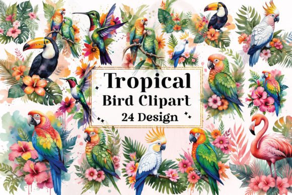 Download Tropical Bird Clipart Bundle - Bird clipart Collection
