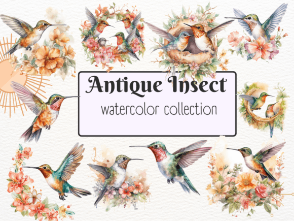 Download Watercolor Cute Hummingbird Clipart - Bird clipart Collection