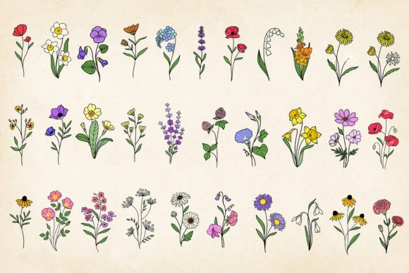 Download Hand-drawn Minimal Wildflowers Bundle - Wild Collection