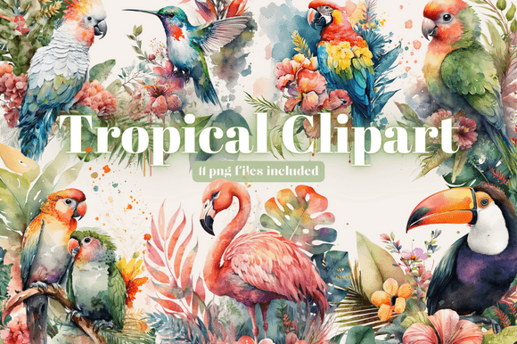 Download Tropical Bird Clipart Bundle - Bird clipart Collection