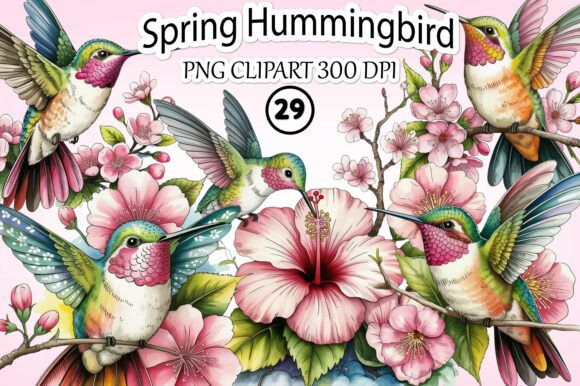 Download Spring Hummingbird Clipart Bundle - Bird clipart Collection